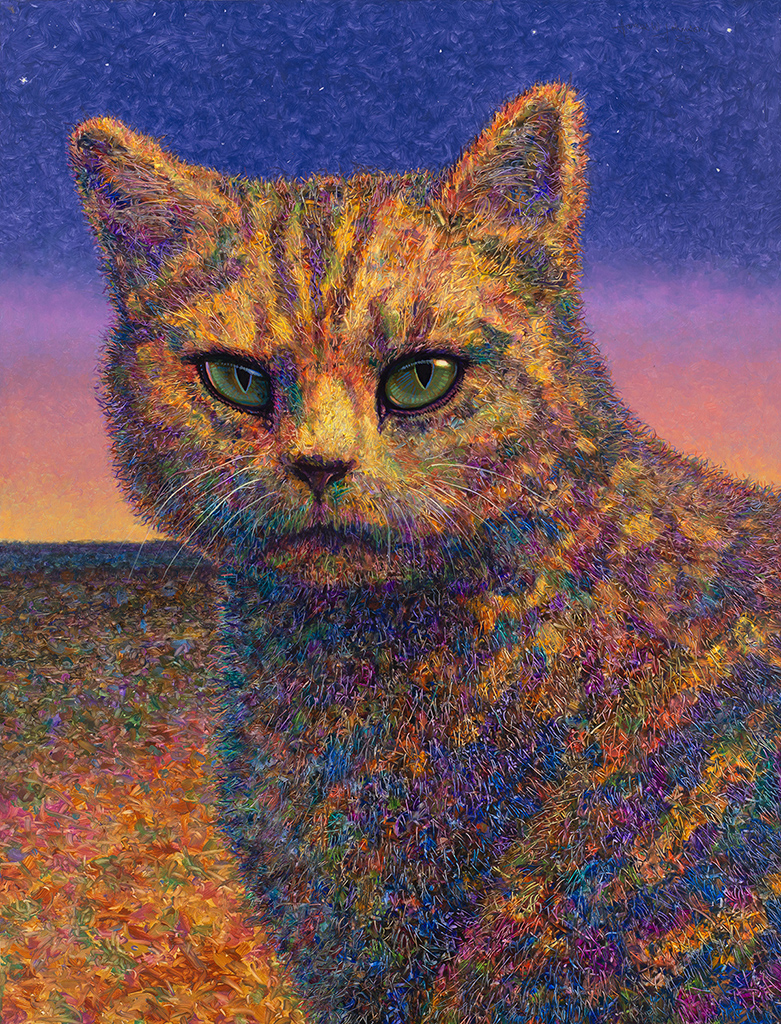 Wild Cat
